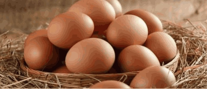 Huevos frescos de campo